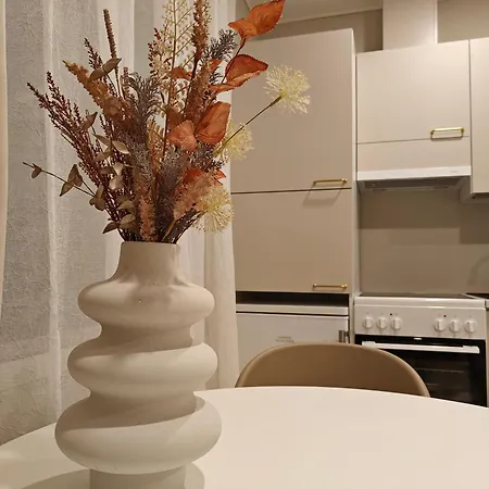 Huvilat Lapland Arctic